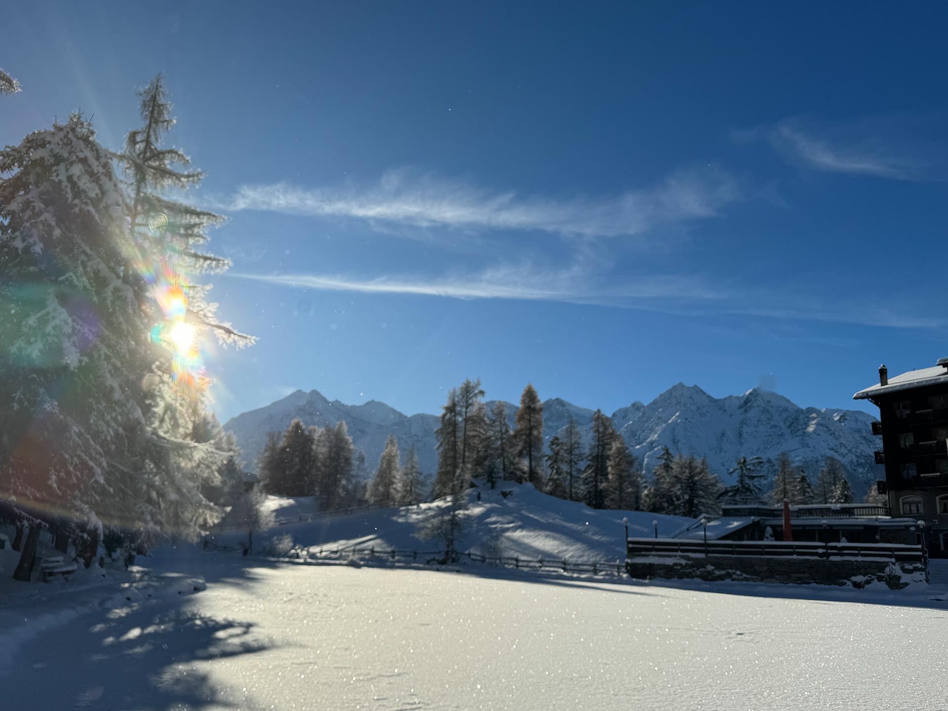 aussicht-zum-see